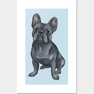 Cute French Bulldog | Blue | Dilute Posters and Art